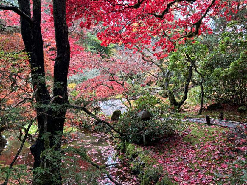  - The Butchart Gardens 2024