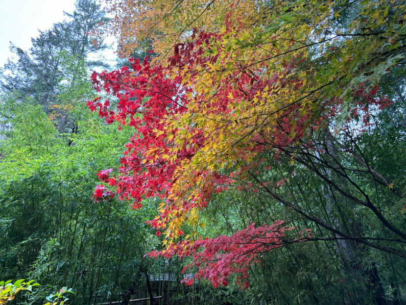  - The Butchart Gardens 2024