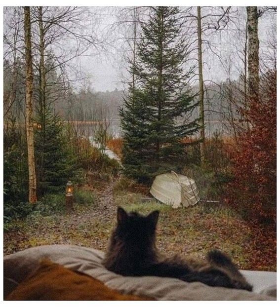 ♡ ɴᴏᴠᴇᴍʙᴇʀ 3 » „Skin to skin, breathe me in, feel with your kiss on me, lips are made of ecstasy, - Tomnatic și nostalgic