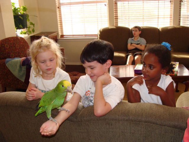 baby parrot and kids