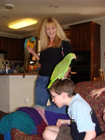 baby parrot on head