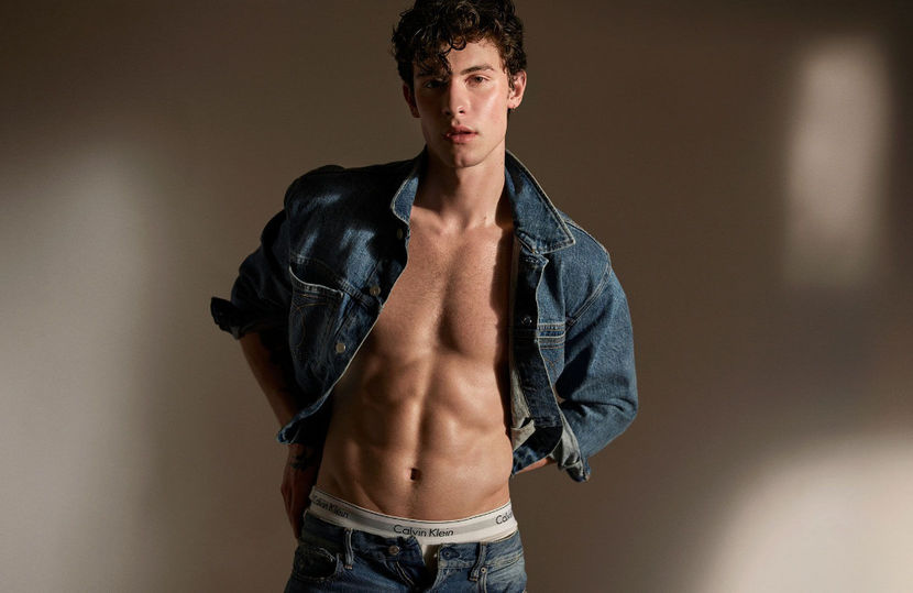  - Shawn Mendes a recunoscut ca nu este atras doar de femei