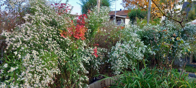  - 2024 - 03 - Toamna