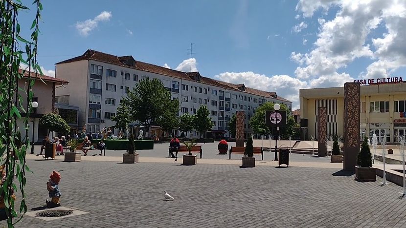 VID_20240513_120025016_exported_21252 - Otelu Rosu 2024
