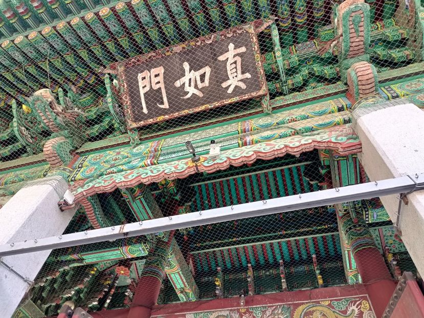 IMG20241023063530 - 1 Seoul