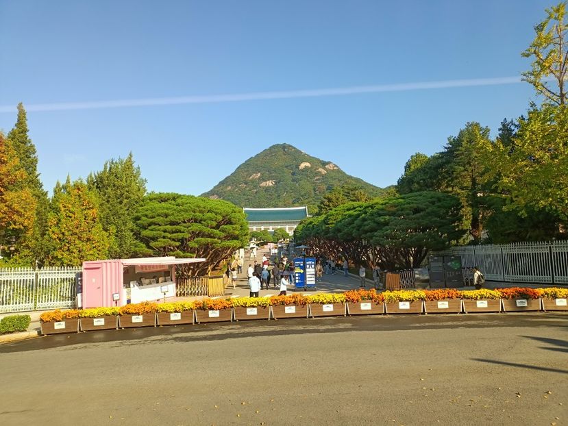 IMG20241025092517 - 3 Palatul Gyeongbokgung
