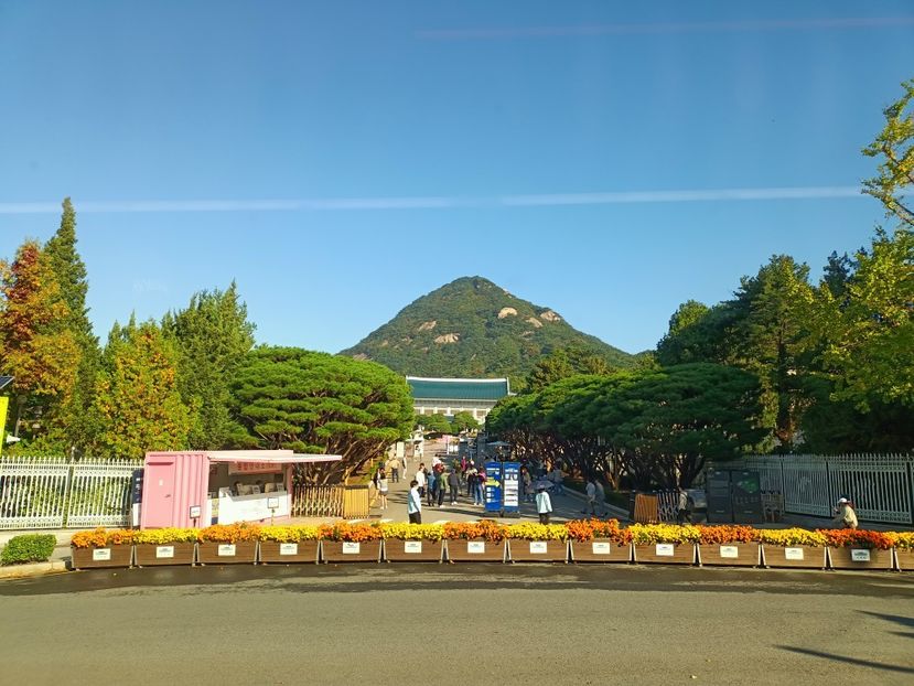 IMG20241025092520 - 3 Palatul Gyeongbokgung
