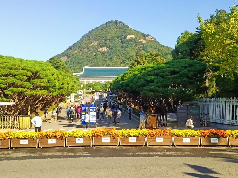 IMG20241025092528 - 3 Palatul Gyeongbokgung