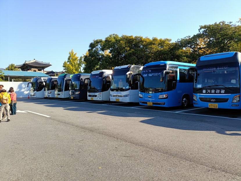 IMG20241025093332 - 3 Palatul Gyeongbokgung