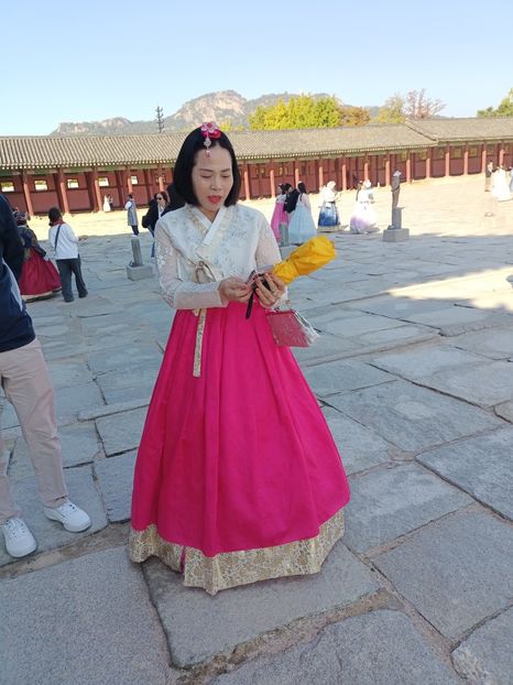 IMG20241025095247 - 3 Palatul Gyeongbokgung