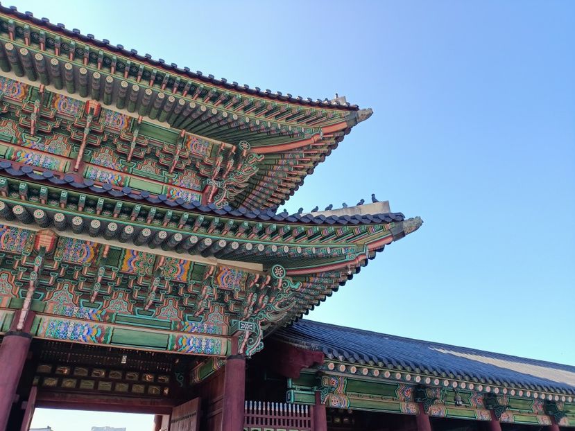 IMG20241025095314 - 3 Palatul Gyeongbokgung