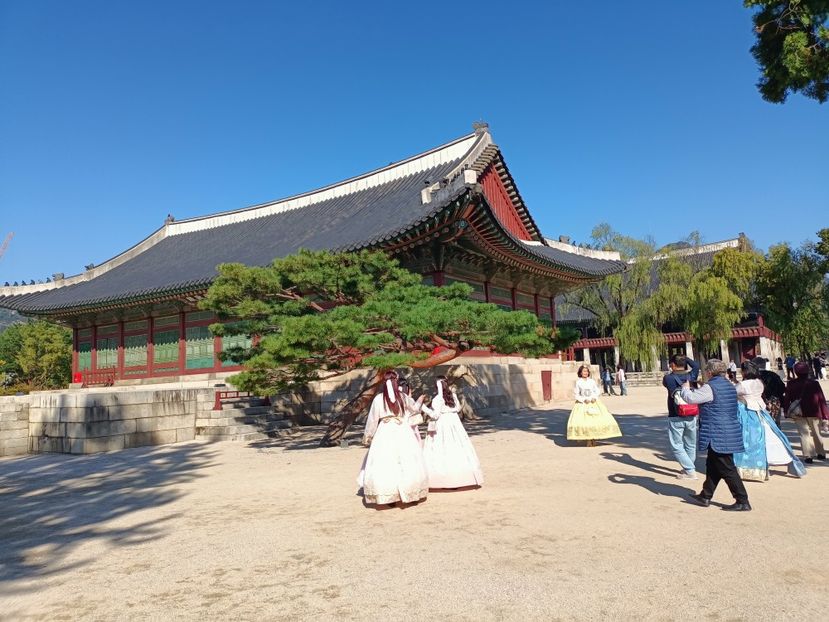 IMG20241025100158 - 3 Palatul Gyeongbokgung