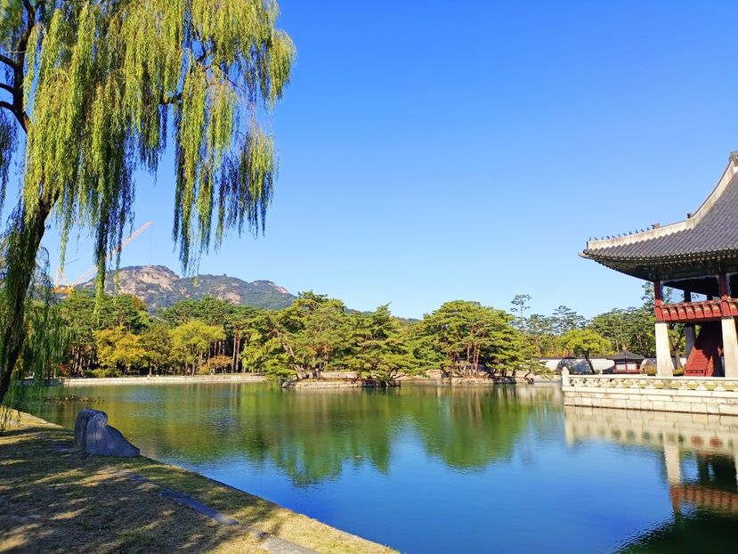 IMG20241025100443 - 3 Palatul Gyeongbokgung