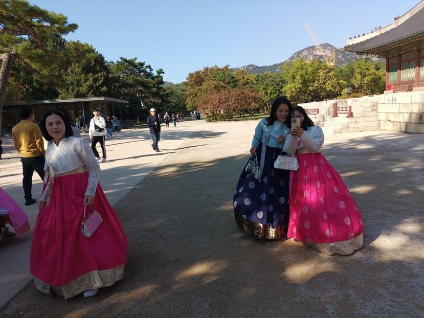 IMG20241025101415 - 3 Palatul Gyeongbokgung