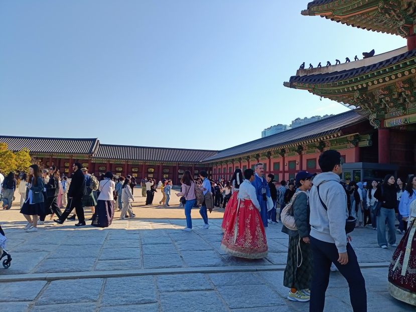IMG20241025105054 - 3 Palatul Gyeongbokgung