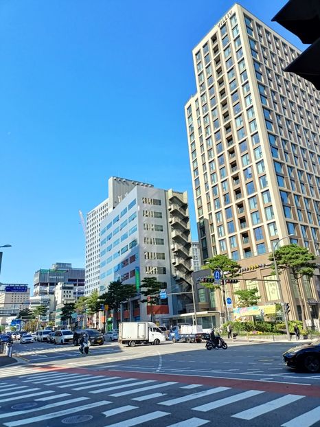 IMG20241025113155 - 3 Palatul Gyeongbokgung