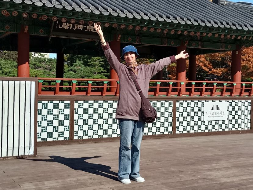 IMG20241025113954 - 3 Palatul Gyeongbokgung