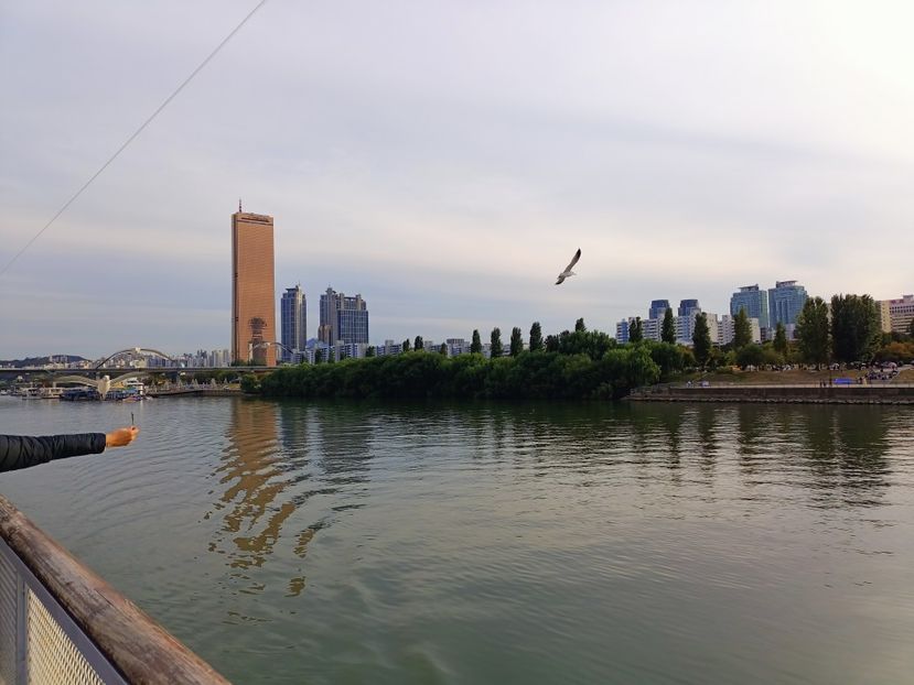 IMG20241025160549 - 3 Palatul Gyeongbokgung