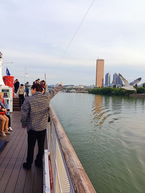 IMG20241025160628 - 3 Palatul Gyeongbokgung