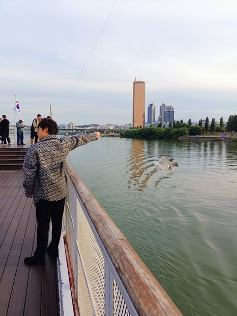 IMG20241025160633 - 3 Palatul Gyeongbokgung