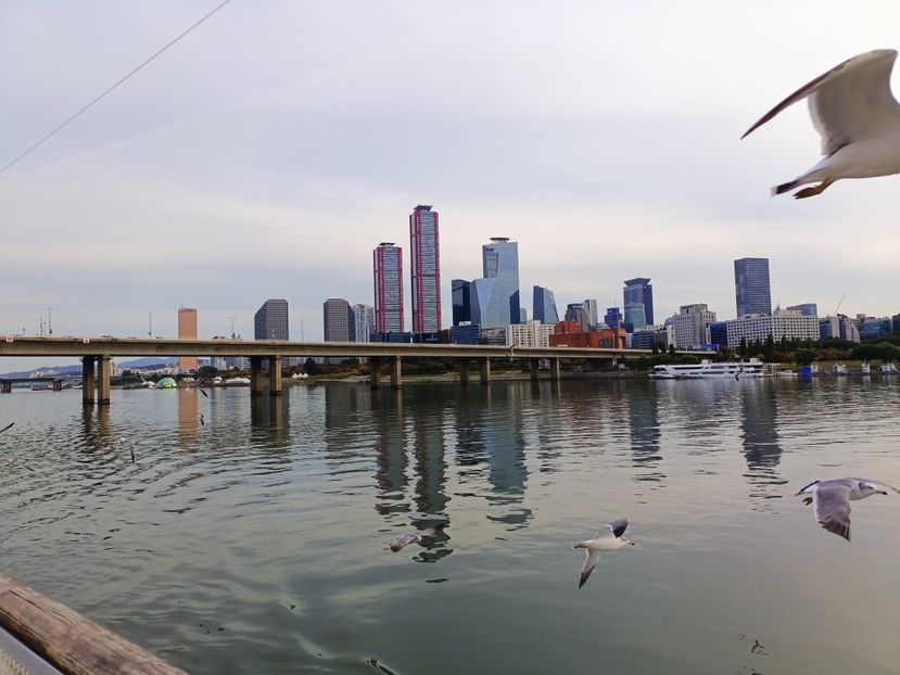 IMG20241025161403 - 3 Palatul Gyeongbokgung