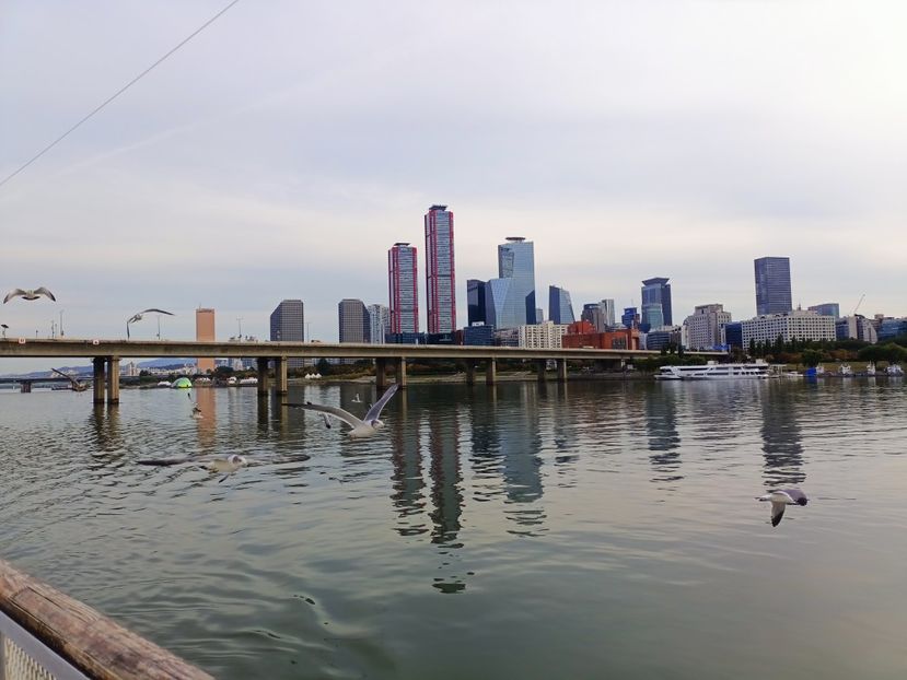 IMG20241025161405 - 3 Palatul Gyeongbokgung