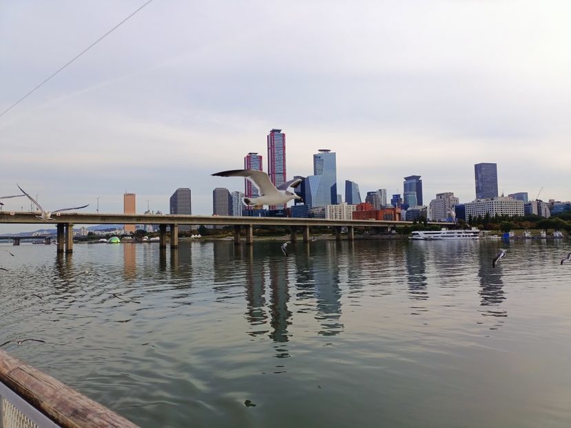 IMG20241025161407 - 3 Palatul Gyeongbokgung