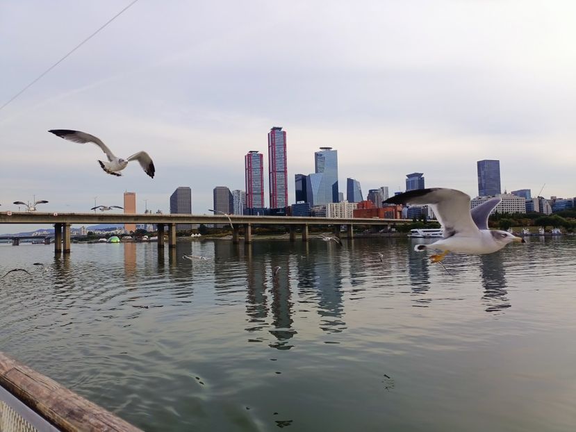 IMG20241025161408 - 3 Palatul Gyeongbokgung