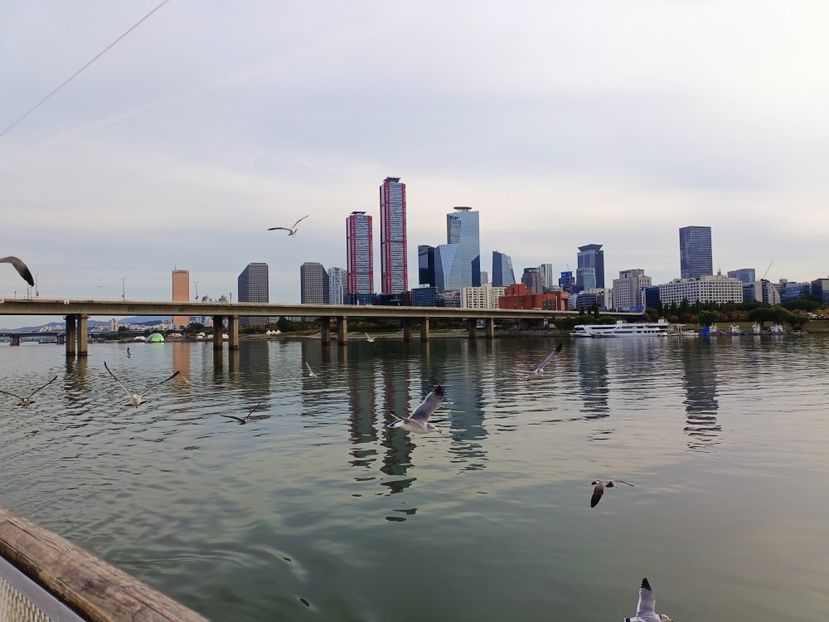 IMG20241025161410 - 3 Palatul Gyeongbokgung