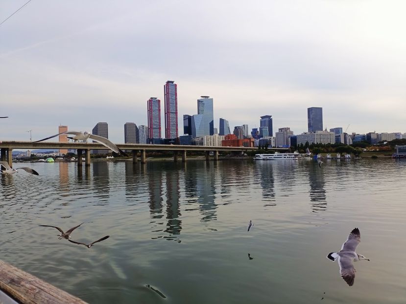 IMG20241025161412 - 3 Palatul Gyeongbokgung