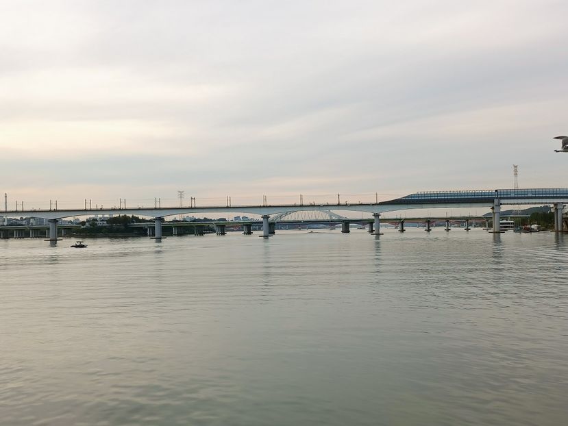 IMG20241025161816 - 3 Palatul Gyeongbokgung