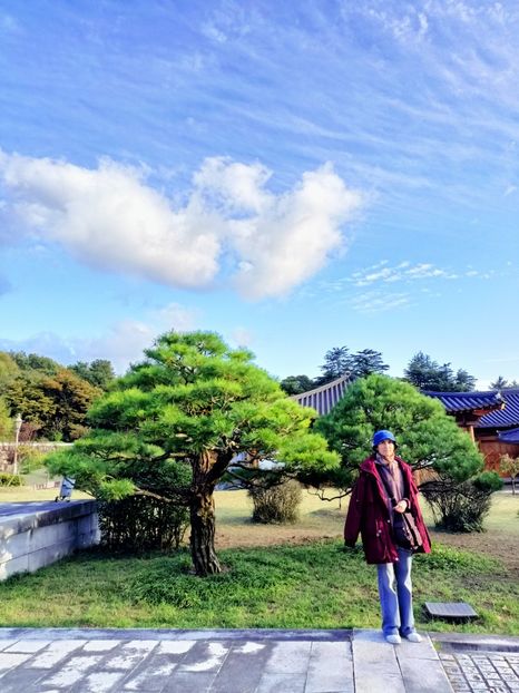 IMG20241026162715 - 4 Gyeongju -Anapji Pond