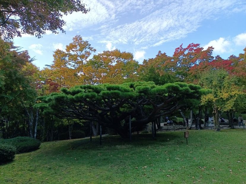 IMG20241026163338 - 4 Gyeongju -Anapji Pond