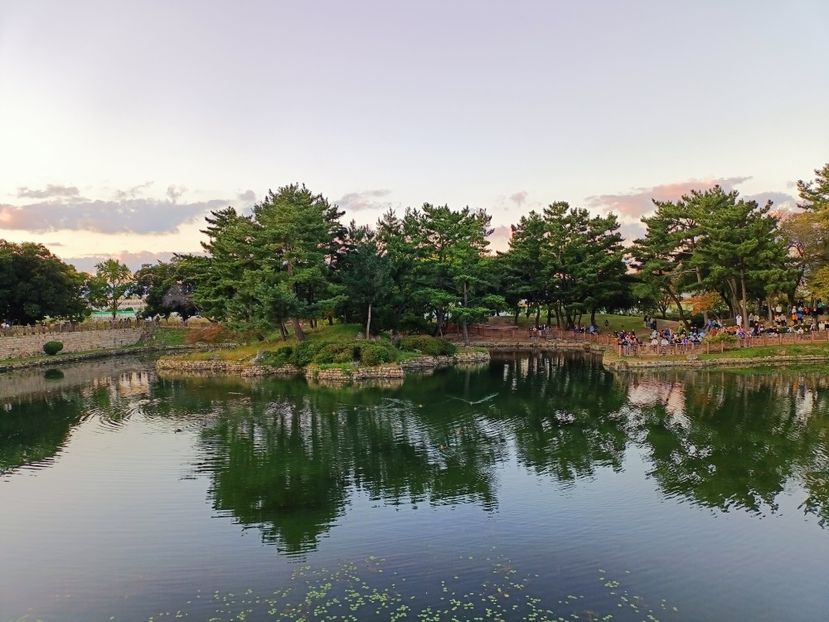 IMG20241026172459 - 4 Gyeongju -Anapji Pond