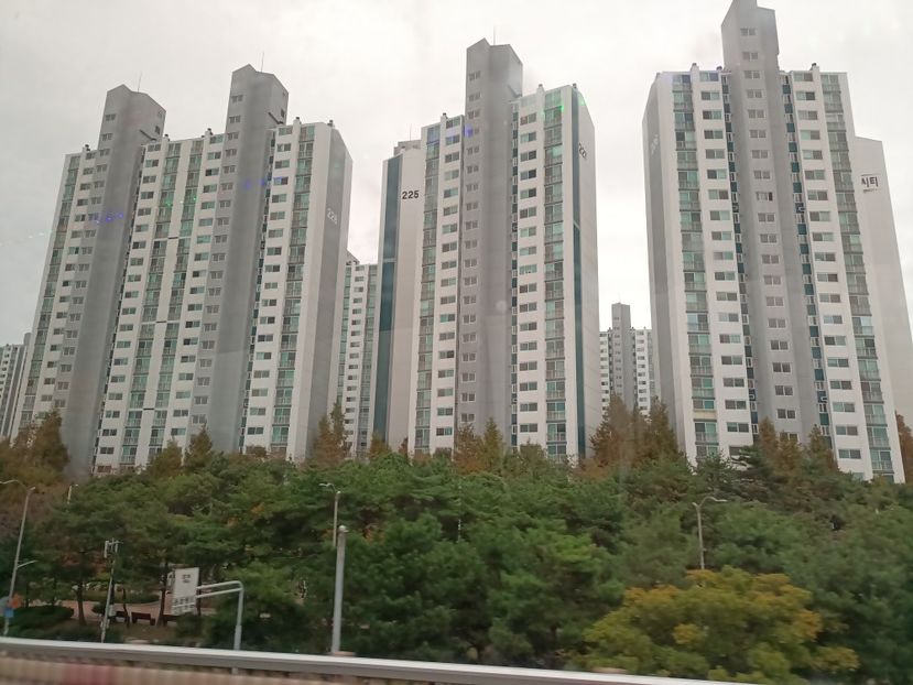 IMG20241027114418 - 5 Busan - Parcul Taejongdae- APEC