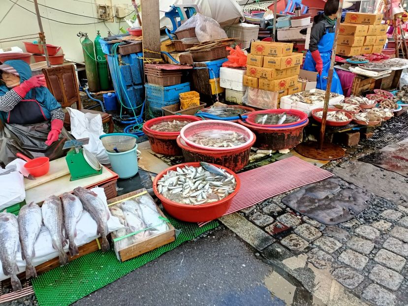 IMG20241028084042 - 6 Busan