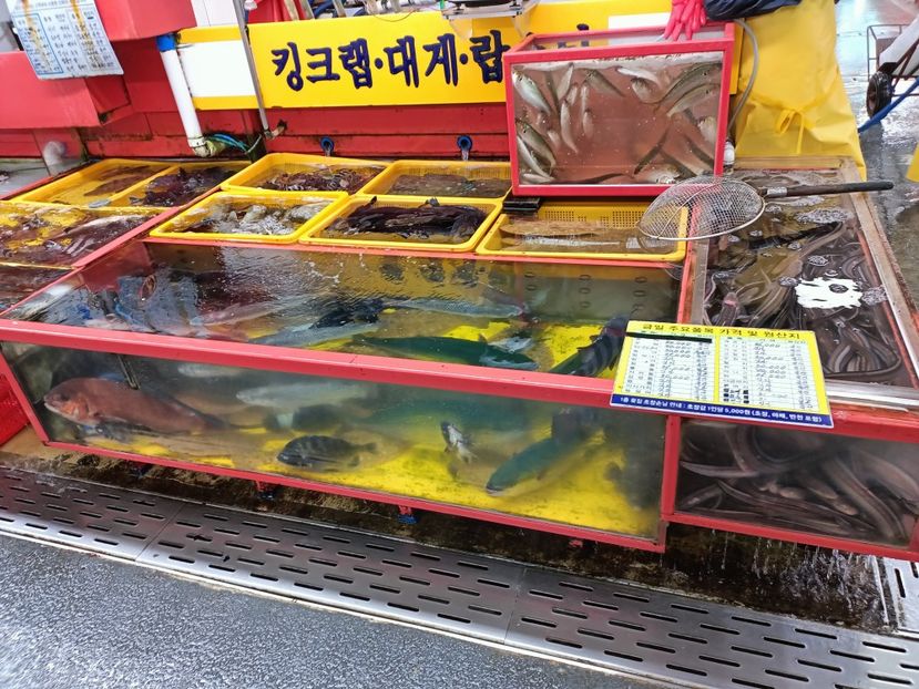 IMG20241028084229 - 6 Busan