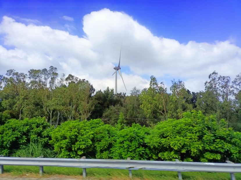 IMG20241029104721 - 7 Sun Moon Lake