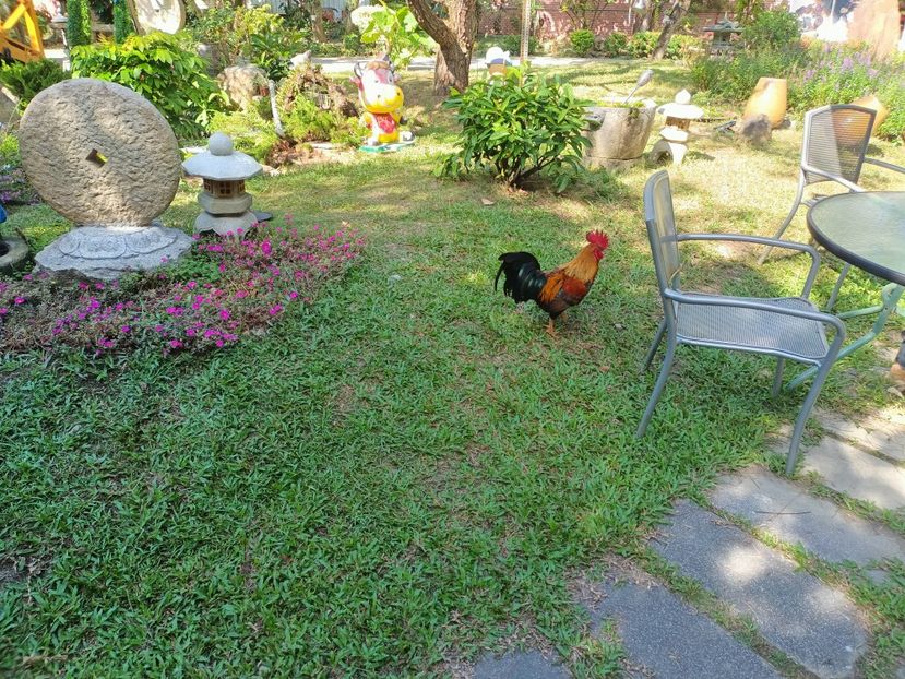 IMG20241029133206 - 7 Sun Moon Lake