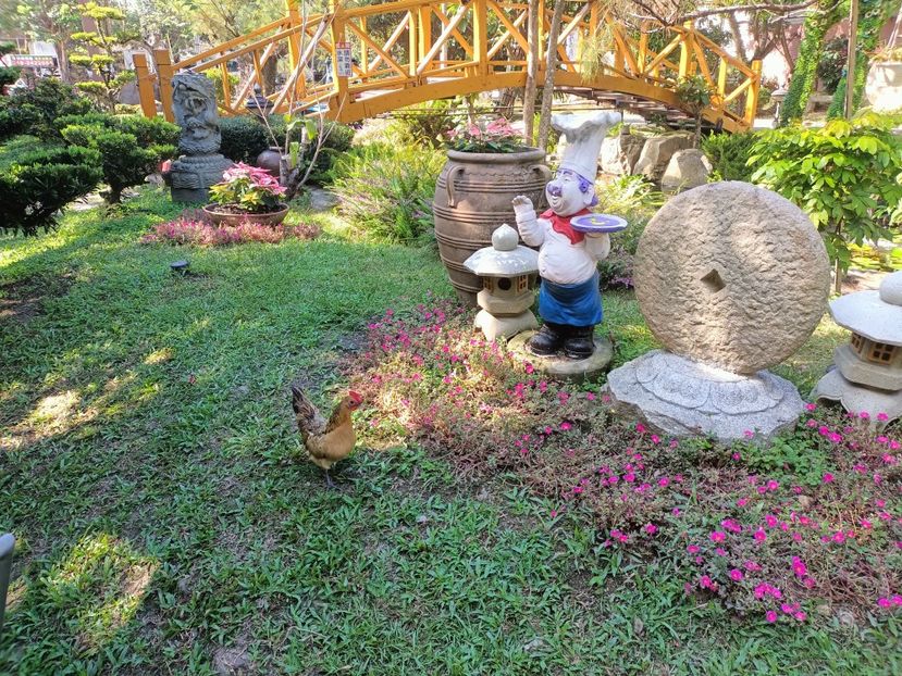 IMG20241029133211 - 7 Sun Moon Lake