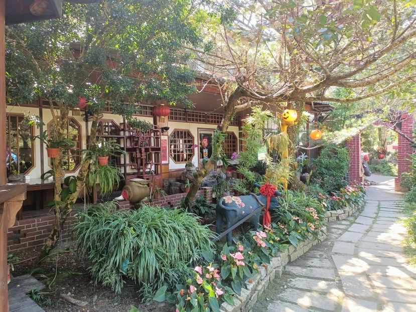 IMG20241029133250 - 7 Sun Moon Lake