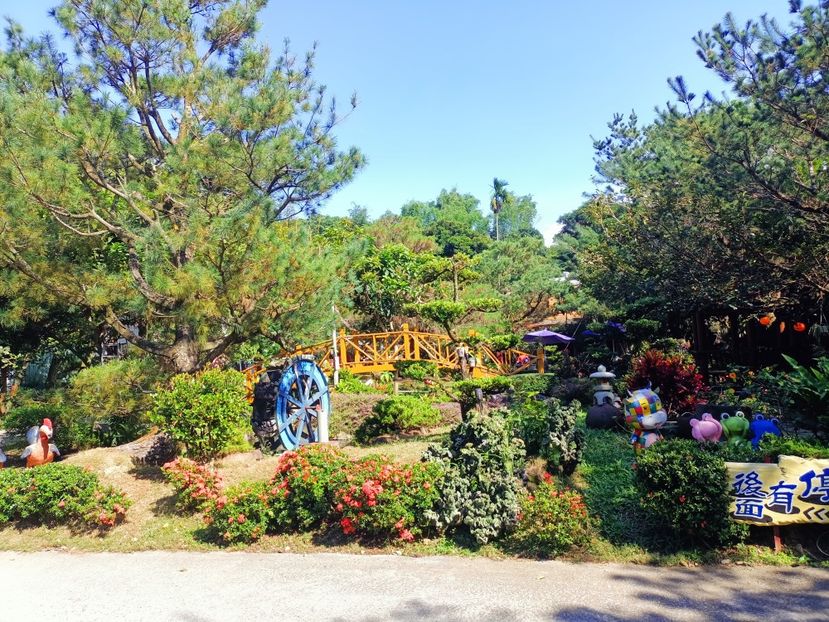 IMG20241029133339 - 7 Sun Moon Lake