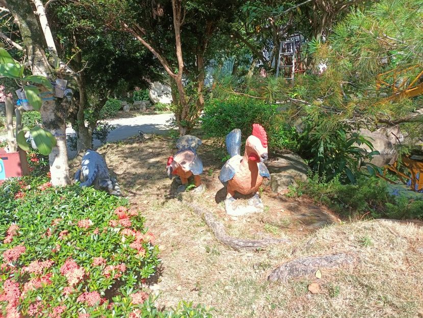 IMG20241029133354 - 7 Sun Moon Lake