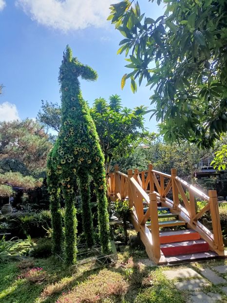 IMG20241029133423 - 7 Sun Moon Lake