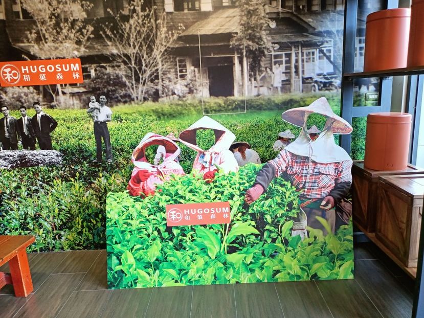 IMG20241029141436 - 7 Sun Moon Lake