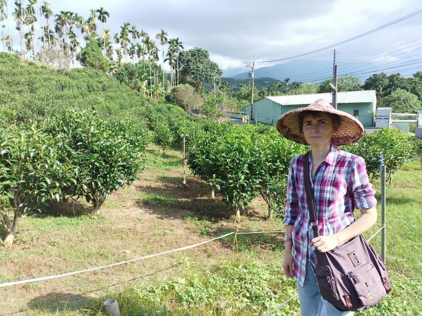 IMG20241029142307 - 7 Sun Moon Lake