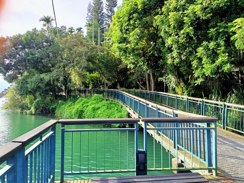 IMG20241030075318 - 7 Sun Moon Lake