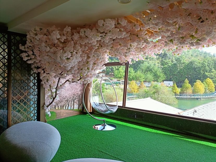 IMG20241030100423 - 7 Sun Moon Lake