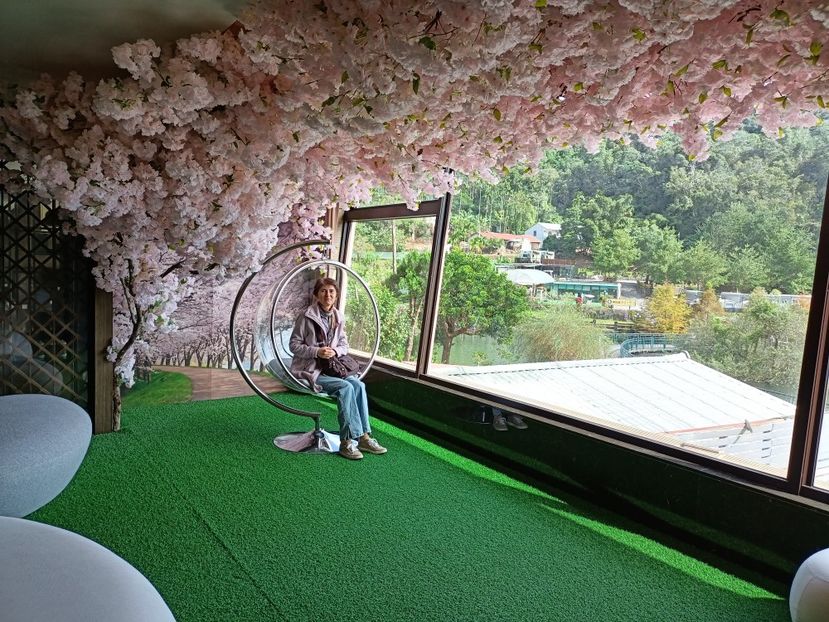 IMG20241030100749 - 7 Sun Moon Lake