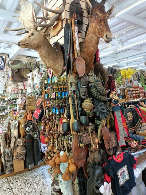 IMG20241030110148 - 7 Sun Moon Lake